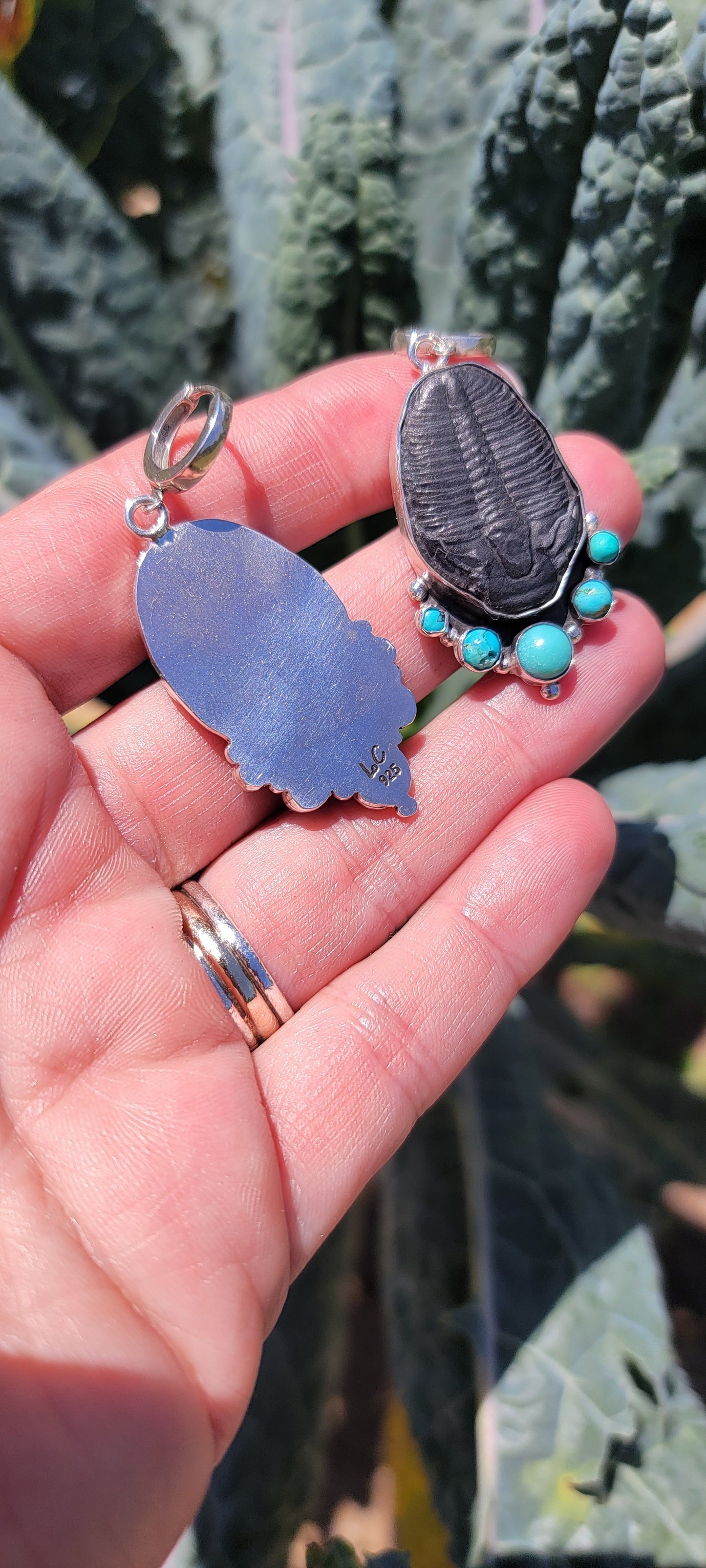 Turquoise, Trilobite Fossil and Sterling Earrings