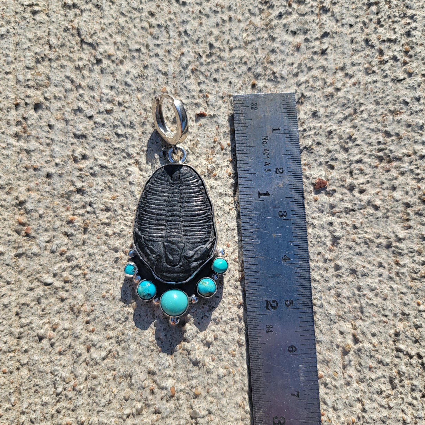 Turquoise, Trilobite Fossil and Sterling Earrings