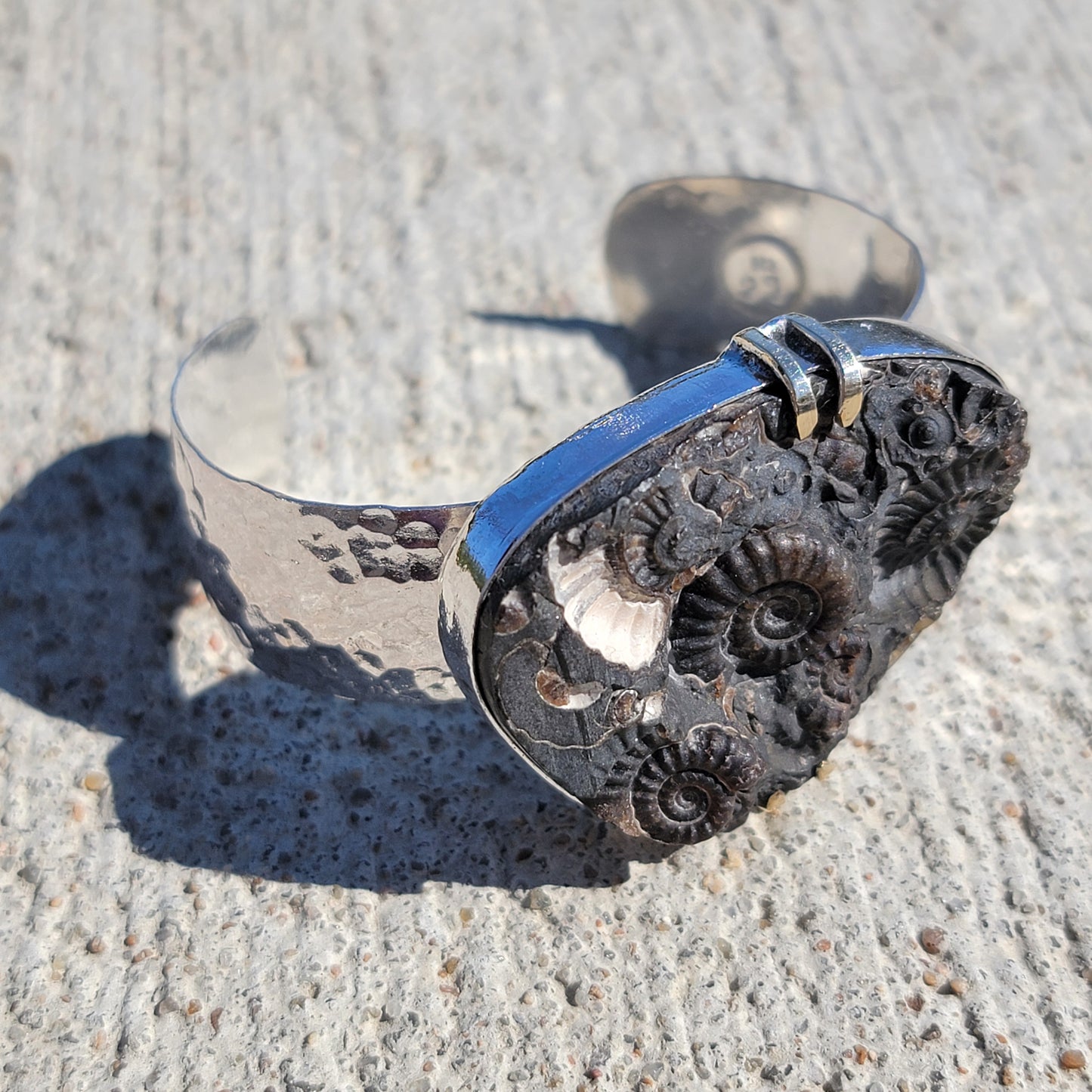 Ammonite Fossil Cuff with wide Hammered Sterling Band