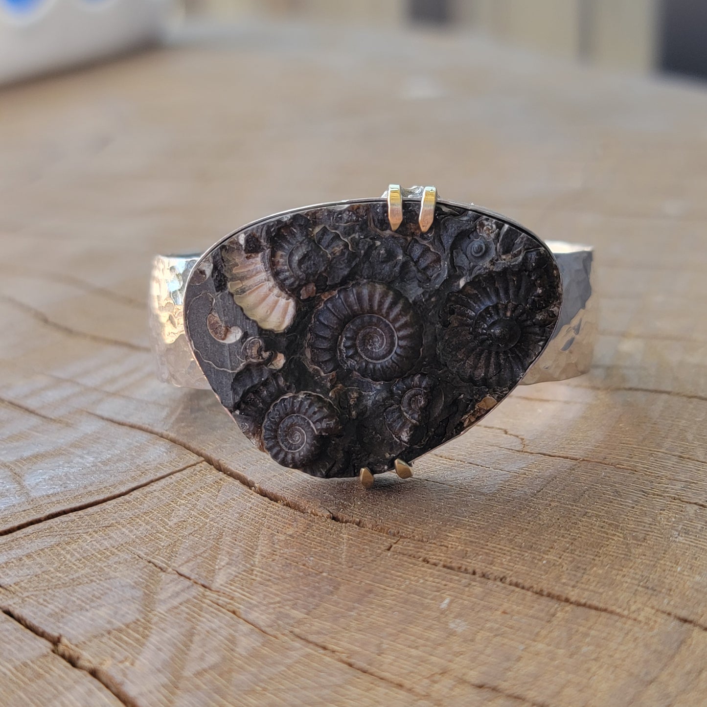 Ammonite Fossil Cuff with wide Hammered Sterling Band