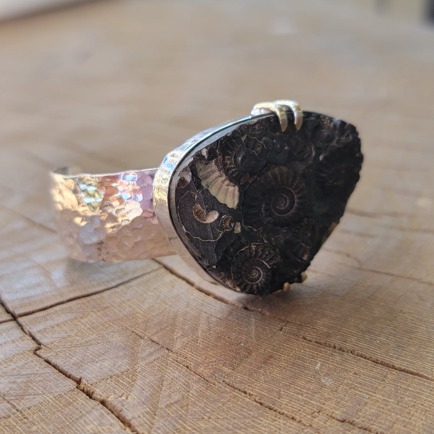 Ammonite Fossil Cuff with wide Hammered Sterling Band