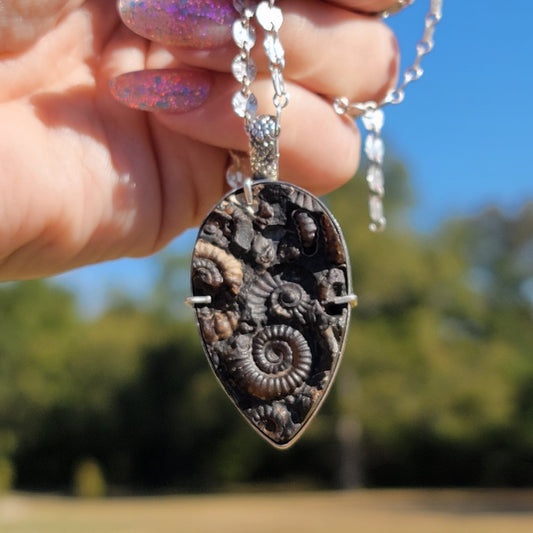 Ammonite Fossil Conglomerate and Sterling Pendant