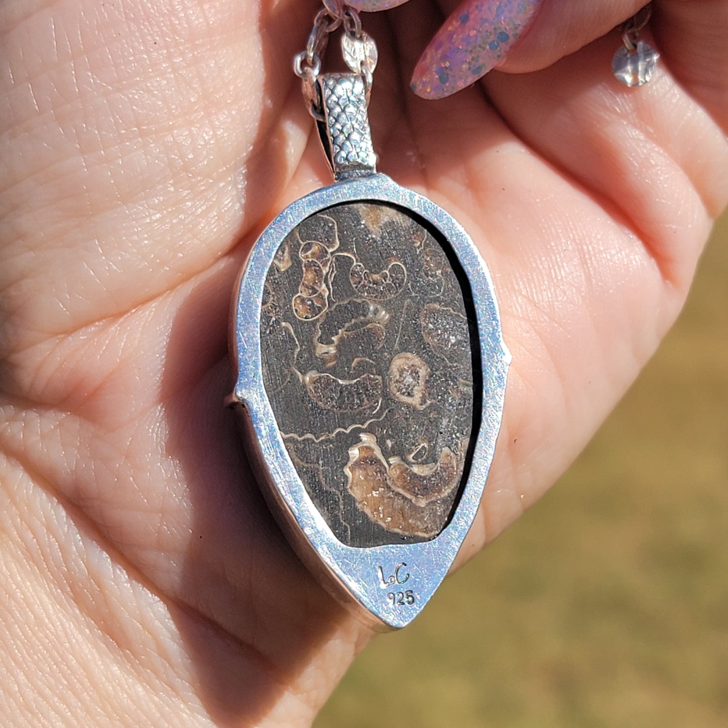 Ammonite Fossil Conglomerate and Sterling Pendant