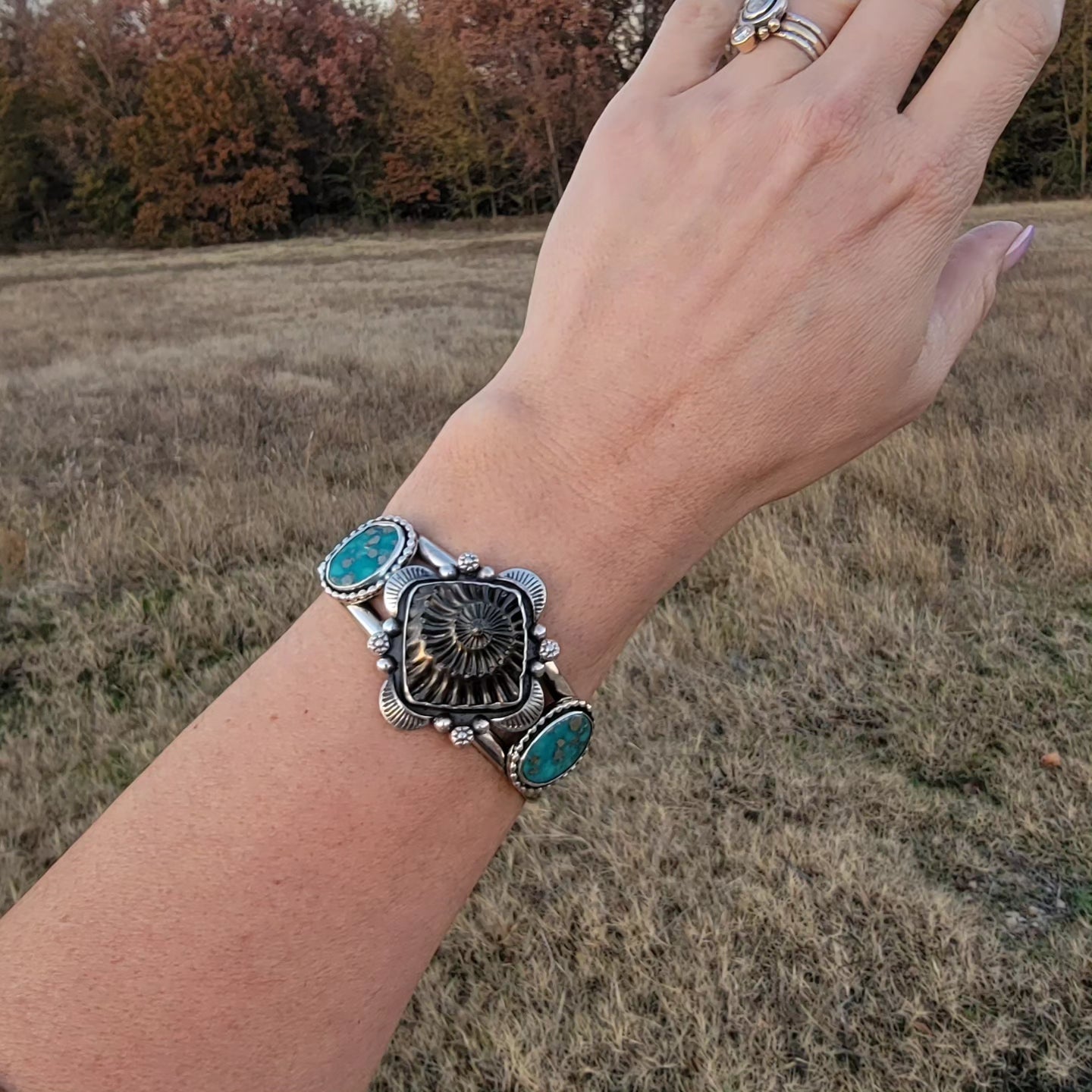 Ammonite Fossil Negative and Persian Turquoise with Stamped sterling details