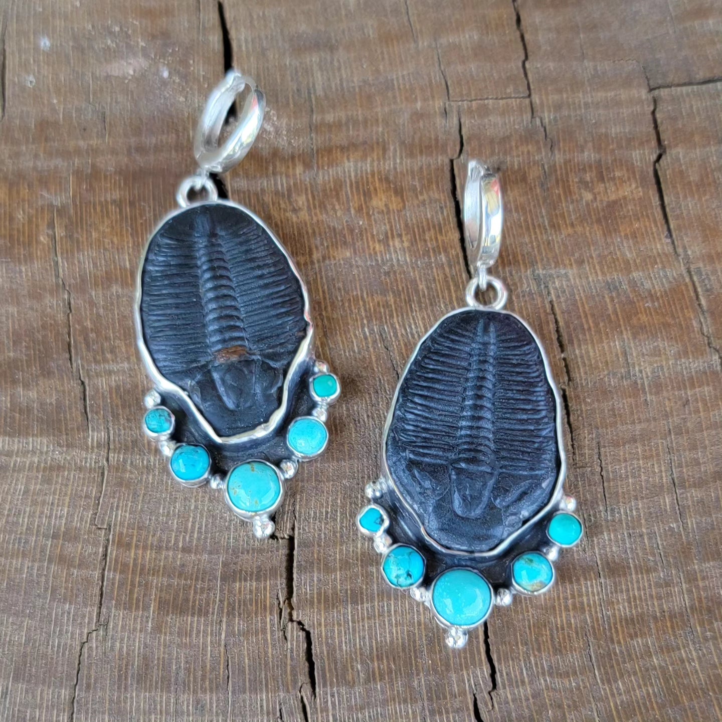 Turquoise, Trilobite Fossil and Sterling Earrings