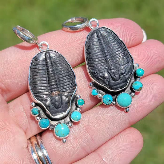 Turquoise, Trilobite Fossil and Sterling Earrings