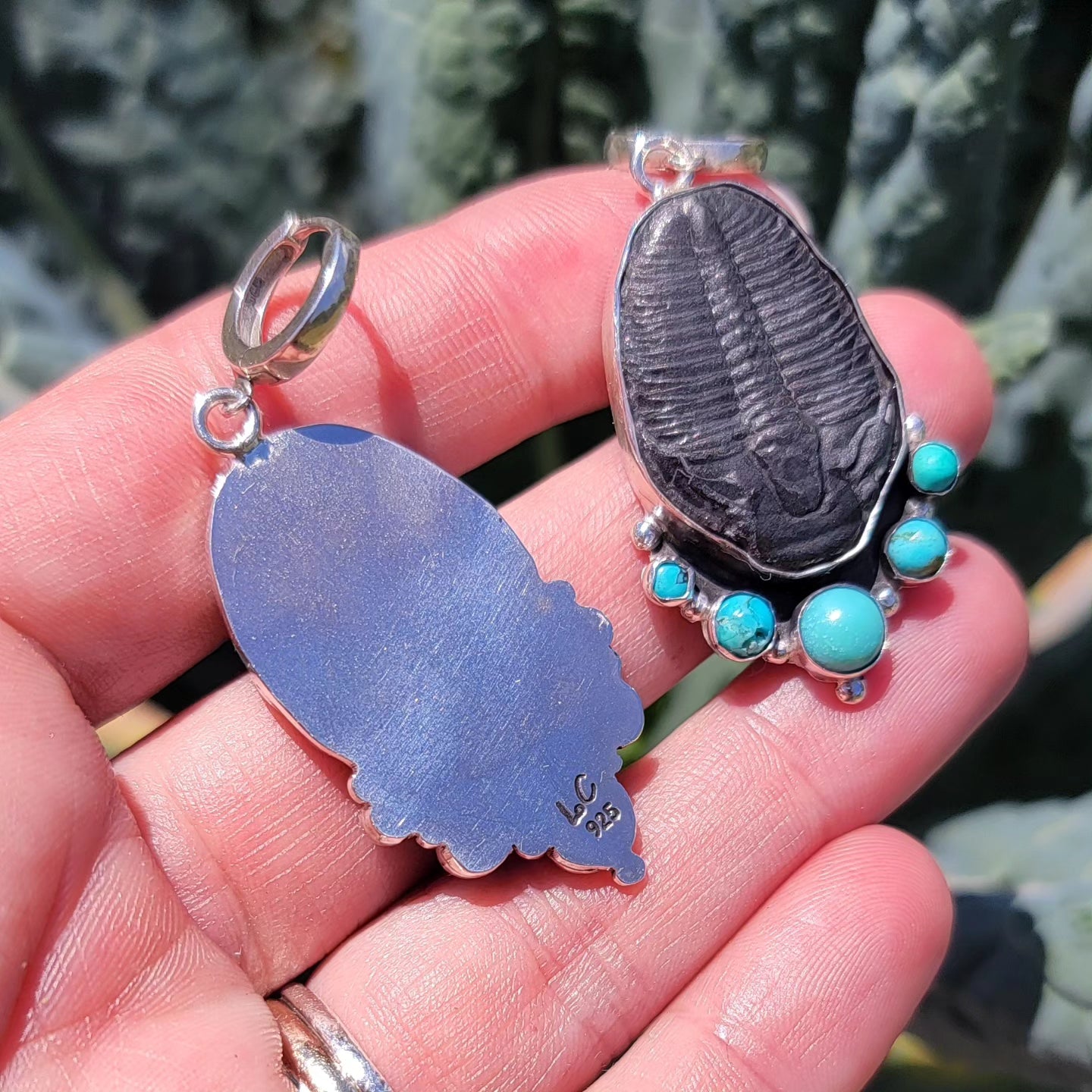 Turquoise, Trilobite Fossil and Sterling Earrings