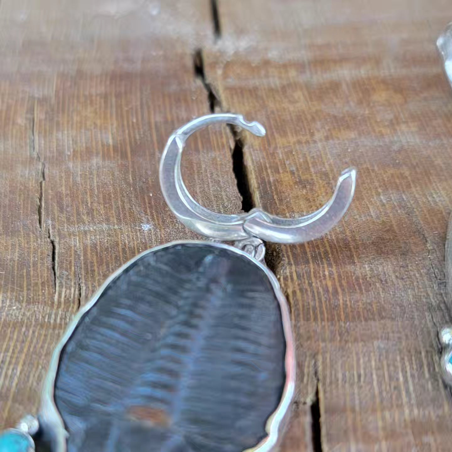 Turquoise, Trilobite Fossil and Sterling Earrings