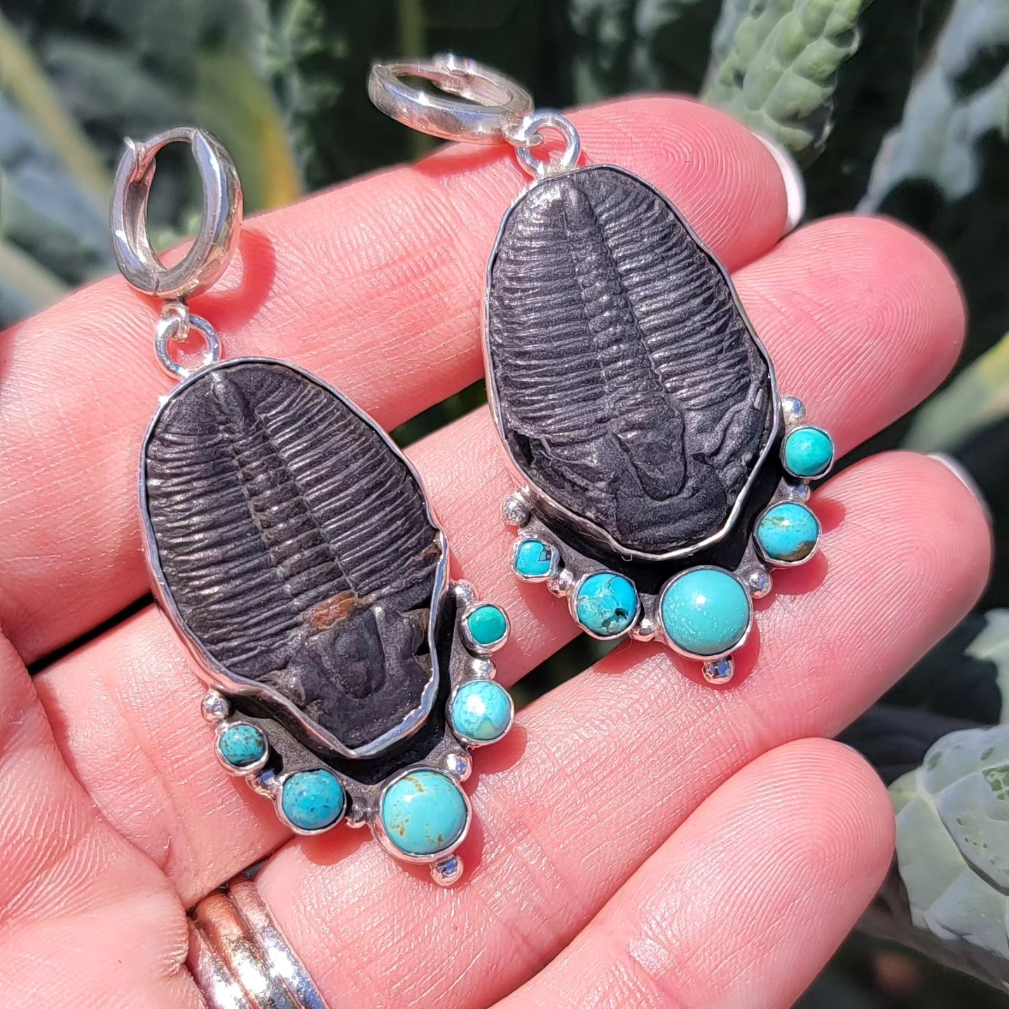 Turquoise, Trilobite Fossil and Sterling Earrings