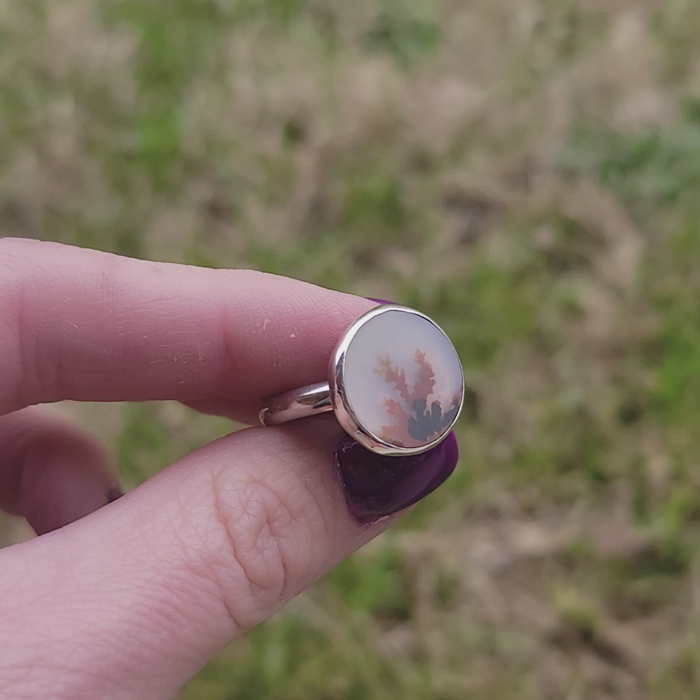 Sz. 7 Dendritic Agate and Sterling Ring