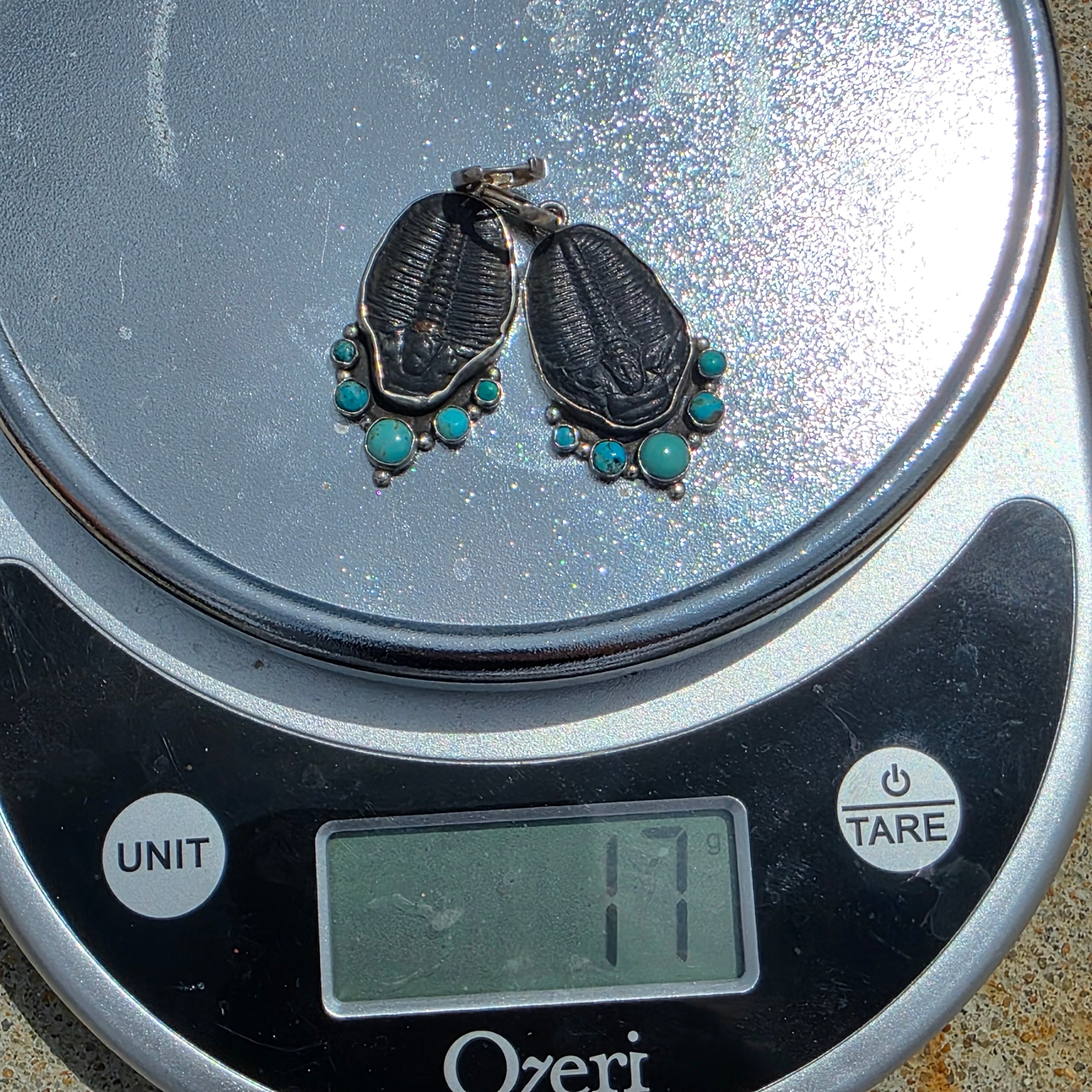Turquoise, Trilobite Fossil and Sterling Earrings